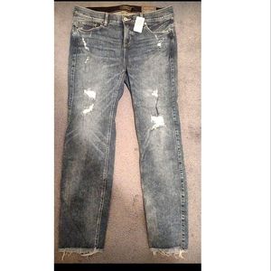 Bombshell Torrid Jeans